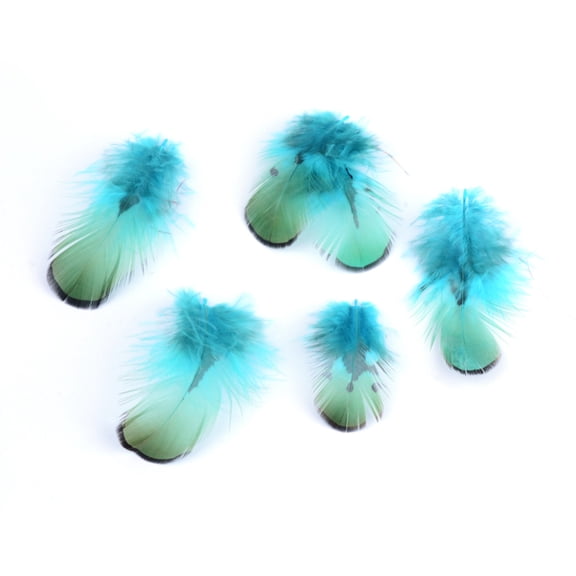 Chicken Feather Costume Accessories Dyed Dark Turquoise 45~105x10~30mm