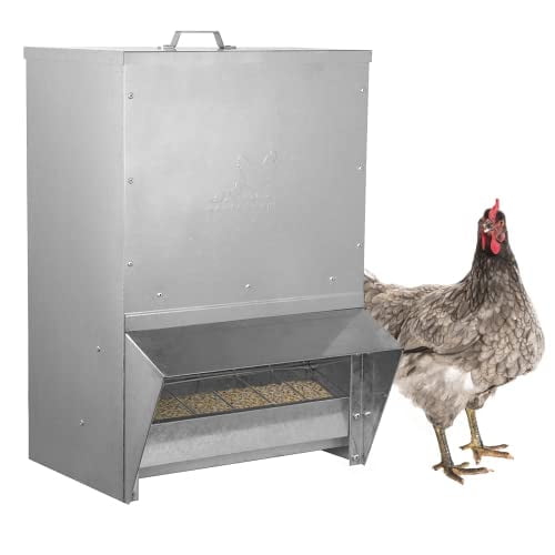 Galvanized Steel 50LB Weatherproof Poultry Feeder with Easy Refill Top
