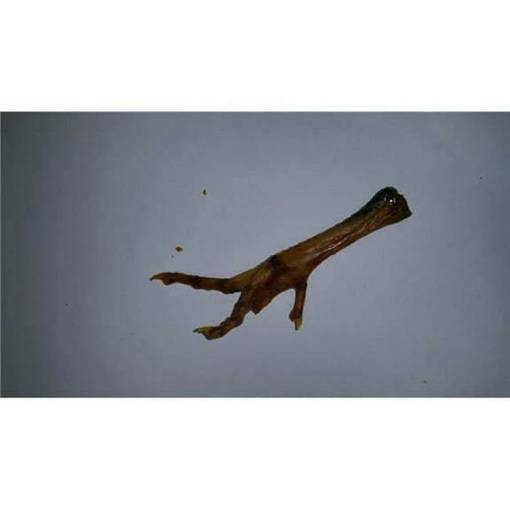 Chicken Feet - 100 Count