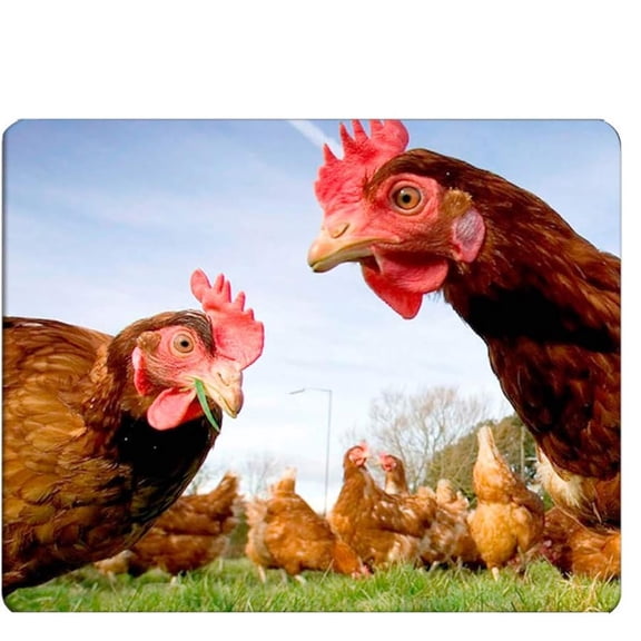 Chicken Gaming Mousepad Funny Chicken Green Grass Mouse Pad Mouse Mat for Computer Desk Laptop Office 9 X 8 Inch Non-Slip Rubber