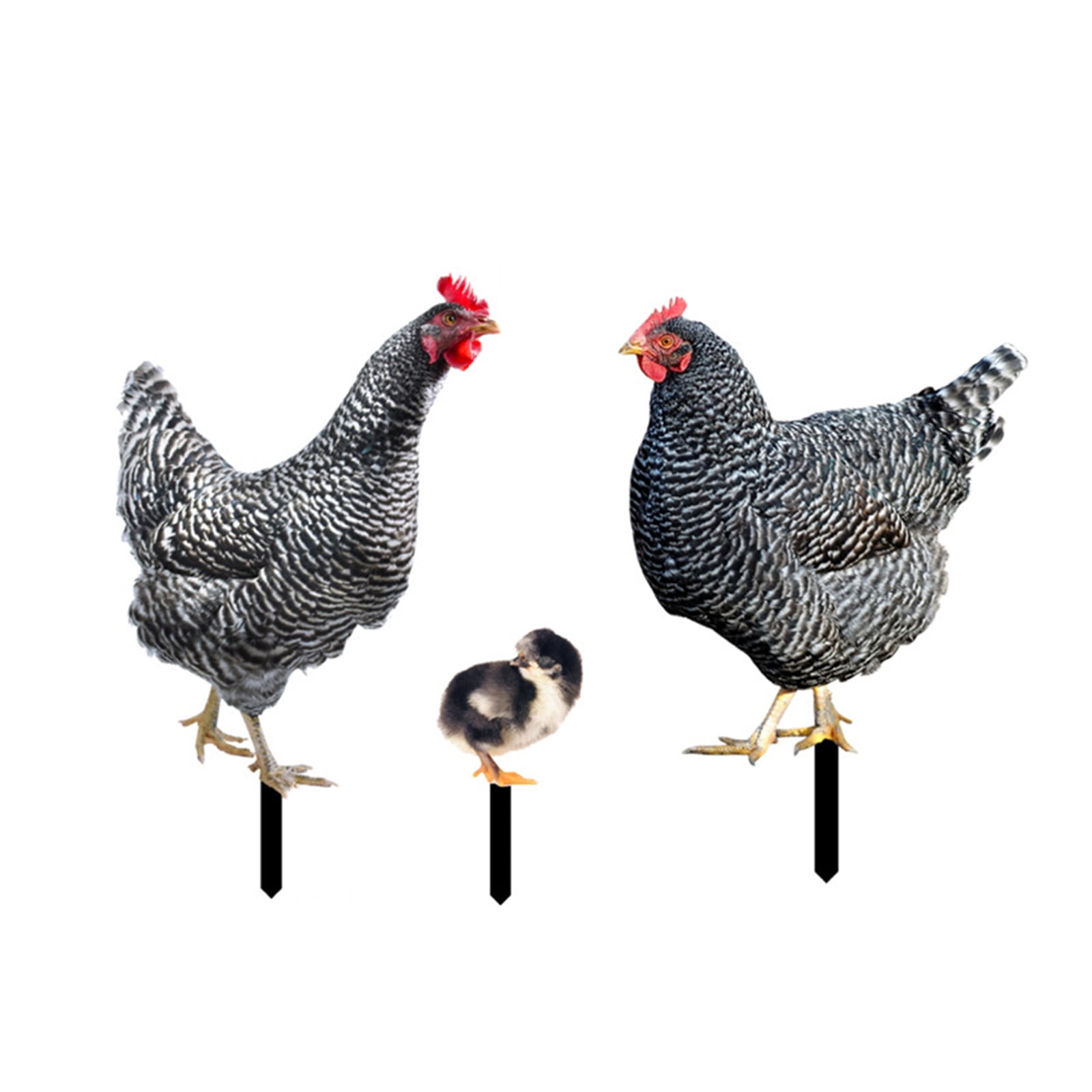 Chicken Garden Stakes Indoor Outdoor Sculpture Garden Lawn Yard Home