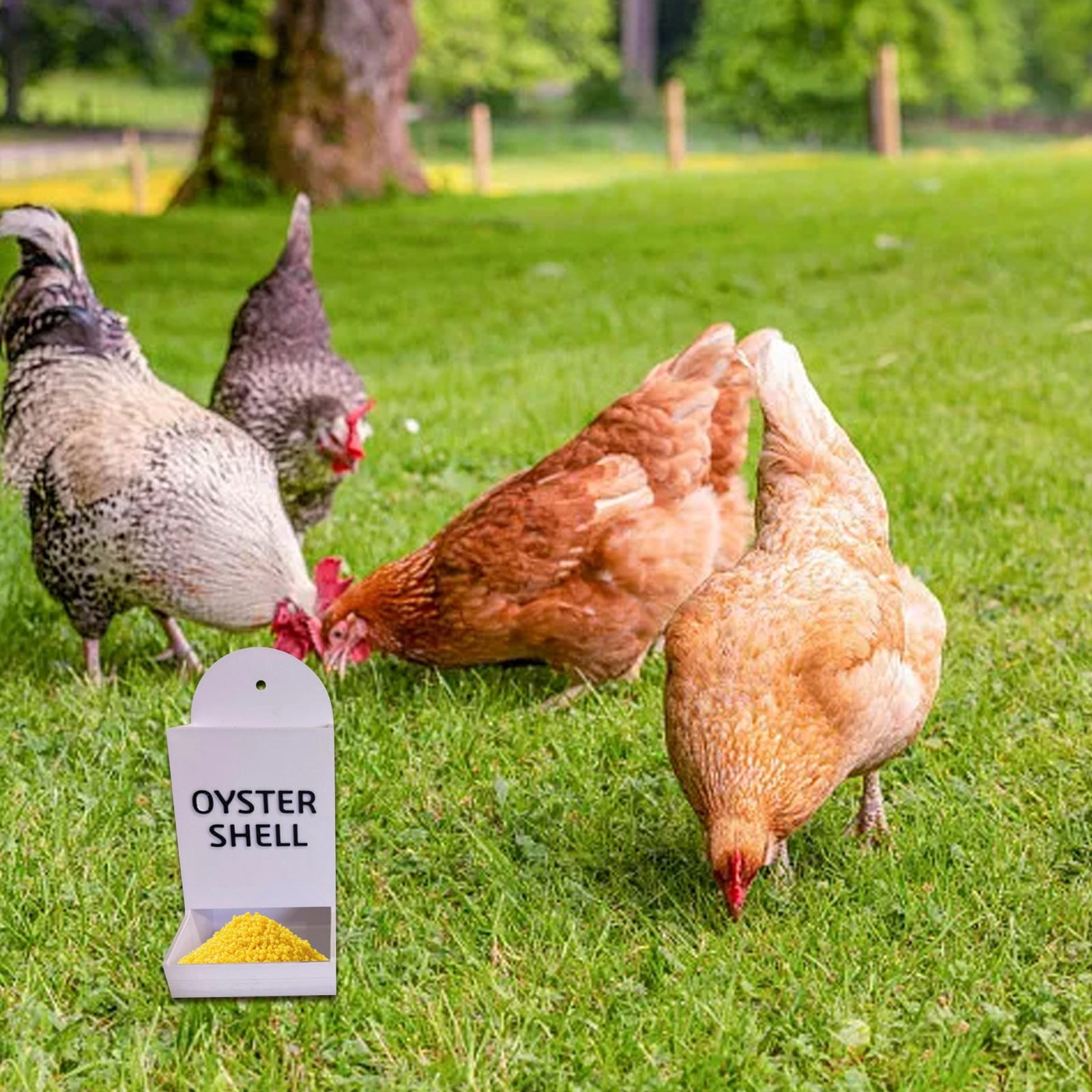 Chicken Grit Feeder & Oyster Shell Dispenser â 3D Printed Hanging ...