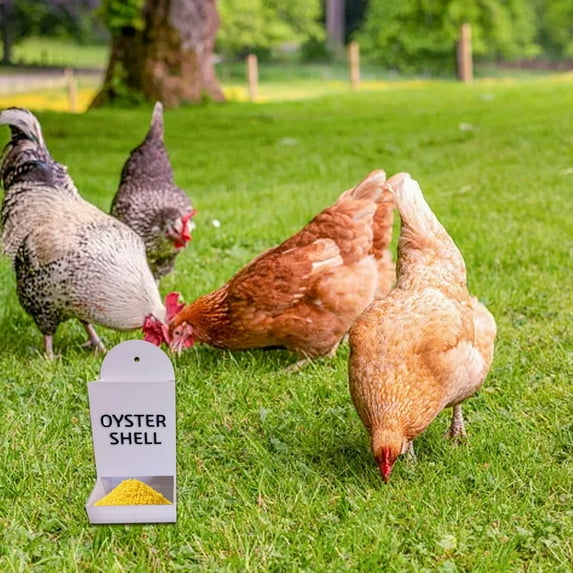 Chicken Grit Feeder & Oyster Shell Dispenser â 3D Printed Hanging Poultry Feeder Trough, No Waste Gravity Design for Chicken Coop, Automatic Chicken Feeder, Durable Coop Accessories