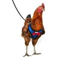 thumbnail image 1 of Chicken Harness Hen Size with 6ft Matching Leash – Adjustable, Resilient, Comfortable, Breathable, Large Size, Suitable for Chicken, 1 of 5