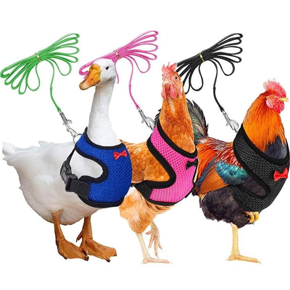 Chicken Harness (Medium, Blue) with Leash, Breathable, Adjustable, Comfortable for Chickens, Ducks, Geese, and Small Pets