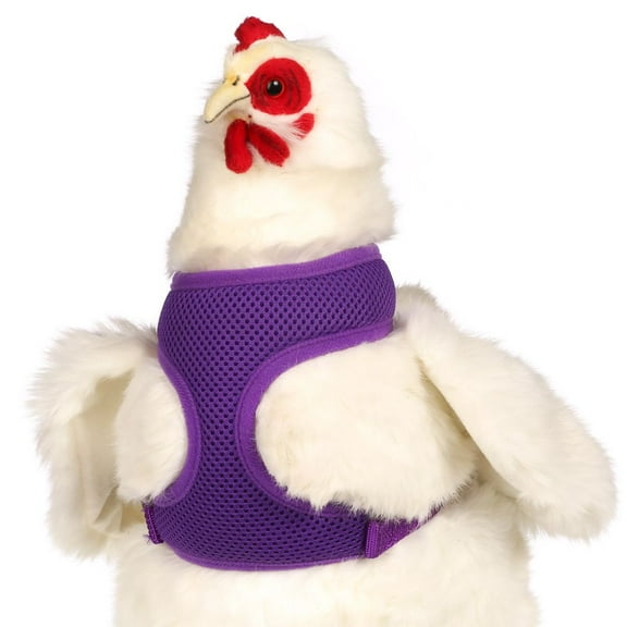 Chicken Harness, X-Small/Pullet