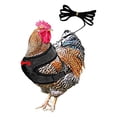 thumbnail image 1 of Chicken Harness and Leash Set 3.6 Foot Adjustable Poultry Vest for Backyard Hens Ducks Walking Training Outdoor Safety Gear, 1 of 7