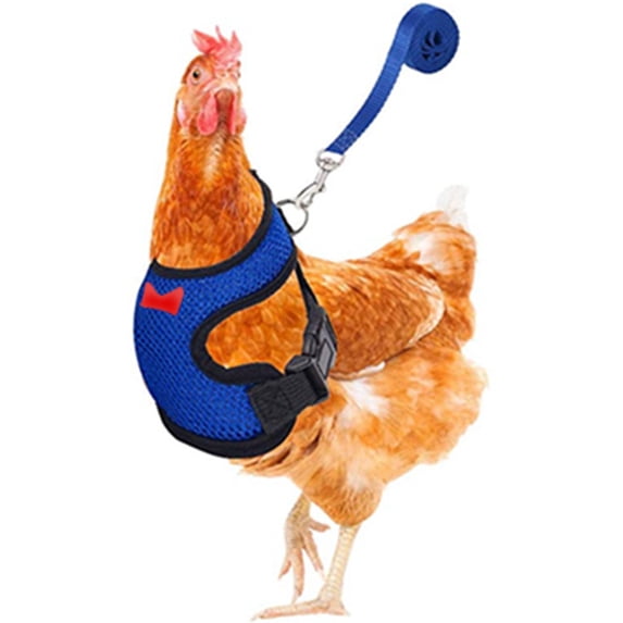 Chicken Leash, Adjustable Poultry Harness, Nylon Mesh Pet Training Vest for Chickens Dogs Goats Quick Release Snap, Blue
