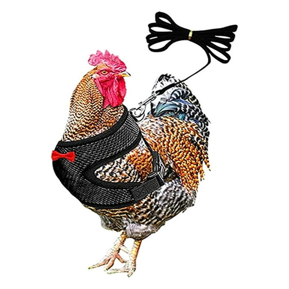 Chicken Leash with Elastic Adjustable Strap, Comfortable and Breathable Pet Rope for Training and Walking Chickens and Ducks, Perfect for Outdoor Adventures