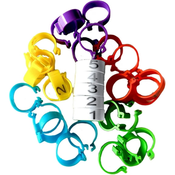 Chicken Leg Rings 30 Numbered 1-5 Tag Markers for ADULT Birds | 1/2 to 5/8 legs | Clip On Poultry Ankle Bands for Gamefowl, Ducks, Guineas | Colored ID Legband Breeding Marking & Banding | Fowls