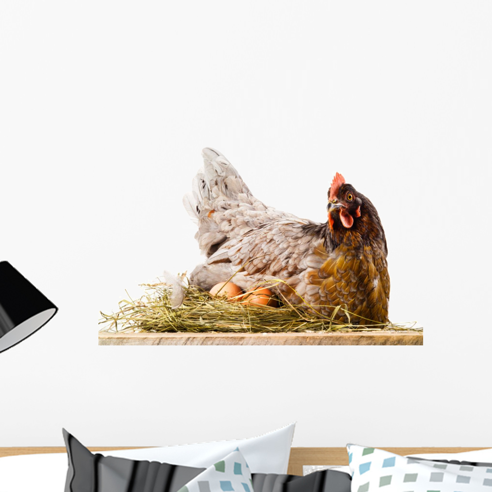 Chicken Nest with Eggs Wall Decal by Wallmonkeys Peel and Stick Graphic ...