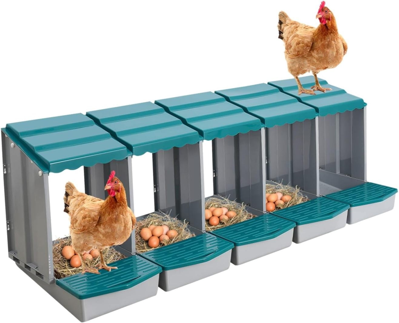 Chicken Nesting Box, 5 Compartments PP Nesting Box, Wall Mountable ...