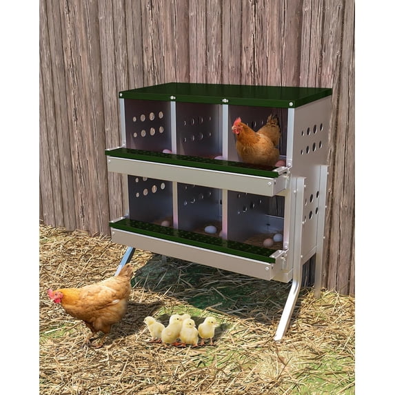 Chicken Nesting Box, 6 Compartment Roll Away Laying Box for Hens, Heavy-Duty Galvanized Steel, Front Egg Collection Tray, 6 Training Eggs Included