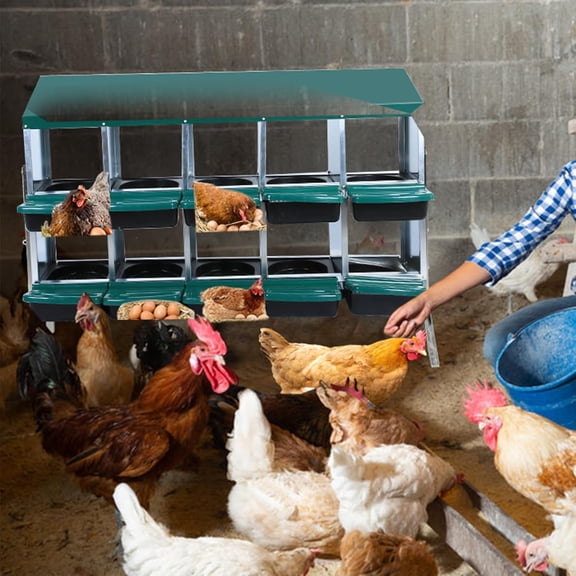 Chicken Nesting Box, 8 or 10 Hole 2 Layer Hen Nest Boxes with Legs, Nesting Boxes for Chickens, Roll Away Eggs Laying Boxes,Cleanable Pull Out Hen Roosting Boxes