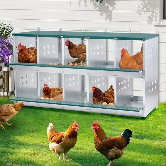 Chicken Nesting Boxes, 10 Hole Metal Chicken Egg Laying Box, Wall Mount Nesting Boxes for Hens/Ducks, Easy Egg Collection & Assembly