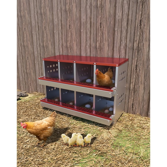Chicken Nesting Boxes,8 Compartments Metal Poultry Nest Box Perch Rod, Egg Collection Tray,Wall Mount Chicken Nesting Boxes  for Chickens, Hens, Ducks - Easy Egg Collection