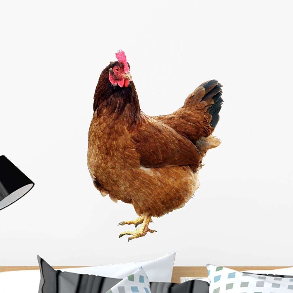 Chicken One Chicken Wall Decal by Wallmonkeys Peel and Stick Graphic ...