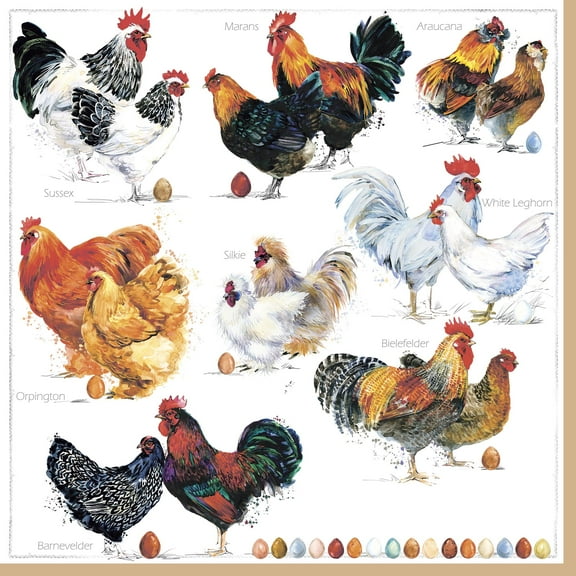 Chicken Paper Napkins CHICKEN COLLECTION 40pcs Lunch Napkins, Rooster Napkins, Chicken Breeds, Chicken Coop Napkins