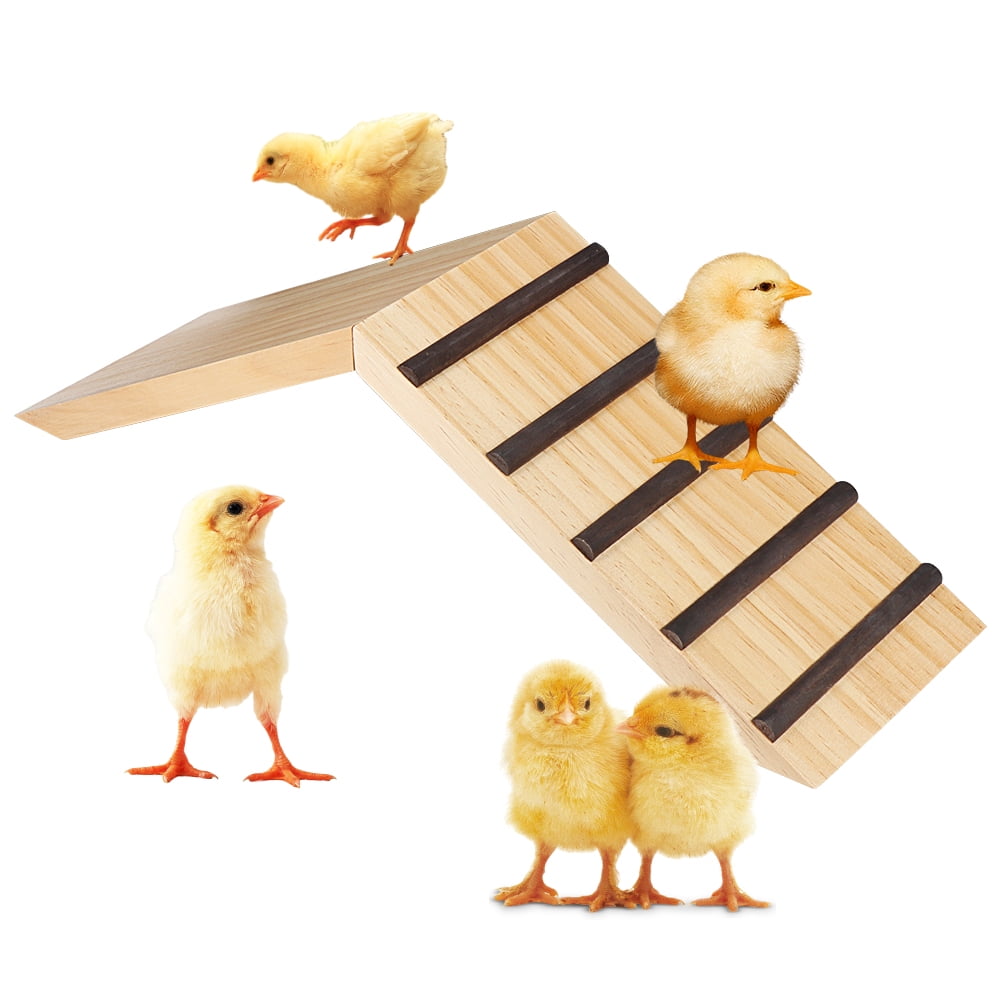 Chicken Perch and Chicken Roost Ramp Trainer, Help Your Baby Chick