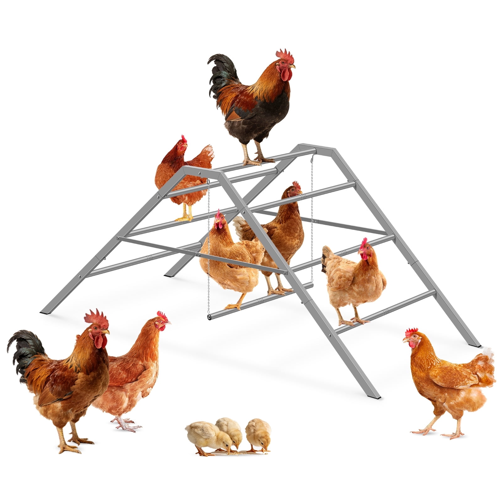 Chicken Perch with Swing, Metal Chicken Roosting Bar for Chickens in ...