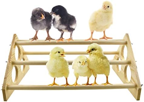Chicken Perch Wood Stand with Holes Chick Stand Trainning Perch Hen ...