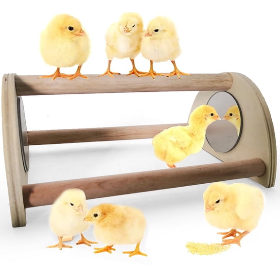 Chicken Perch, Wooden Chicken Roosting Bar for Brooder with Mirror, Ideal for Bird, Parrot, Macaw, Hens