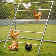 Chicken Roosting Bars for Coop Accessories, DOMIPET Chicken Perches Activity Play with Swing Set, Wooden Chicken Ladder, Chicken Toys Easy to Assemble & Clean