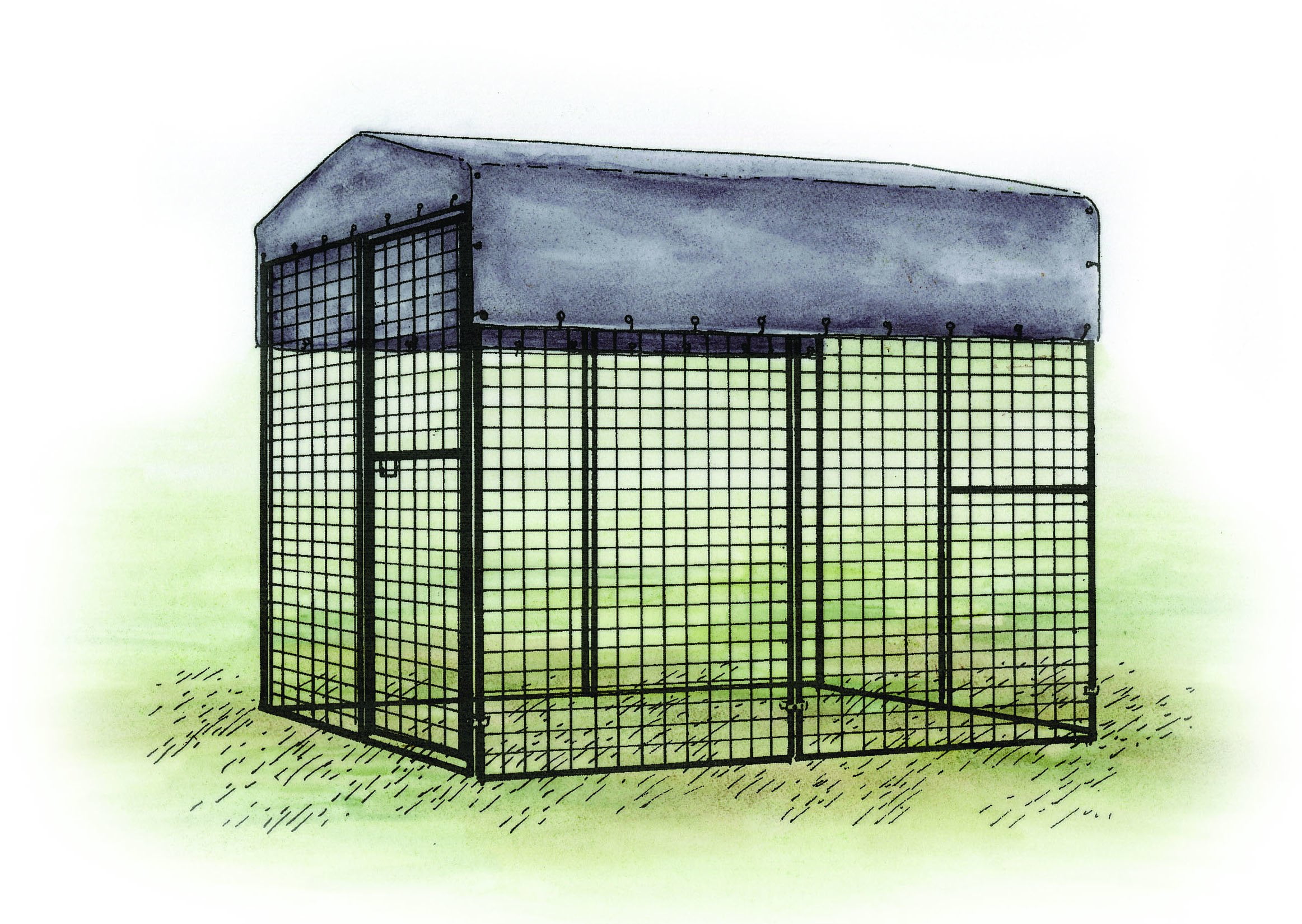Chicken Run Tarp - Protect Your Flock in Any Weather | Hatching Time
