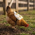 thumbnail image 1 of Chicken Saddle for Hens, Chicken Apron Back Protector for Hens, Waterproof Hen Saddle Chicken Vest With Adjustable Straps for Poultry Back Feather Protection, Easy to Wear, 1 of 6