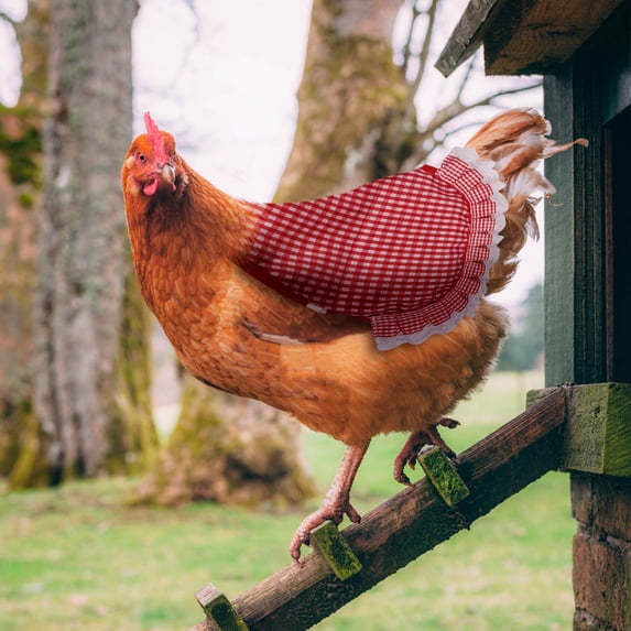 Chicken Saddle Protective Apron for Hens and Roosters Feather Protection during Mating and Molting