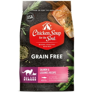 Chicken noodle soup for sales the soul dog food