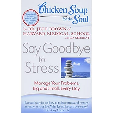 Pre-Owned Chicken Soup for the Soul: Say Goodbye to Stress: Manage Your Problems, Big and Small, Every Day (Paperback) 1935096885 9781935096887