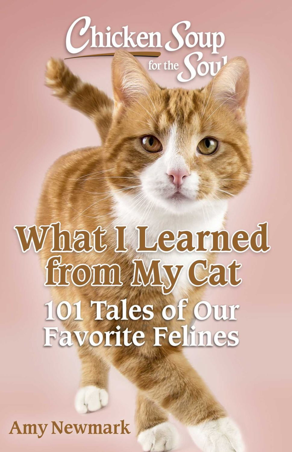 Chicken Soup for the Soul: What I Learned from My Cat: 101 Tales of Our Favorite Felines (Paperback)