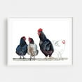thumbnail image 1 of Chicken Squad - Illustration Watercolor Farmhouse Animal Farm Rural White Framed Wall Art Print 20 x 30 inches, 1 of 4