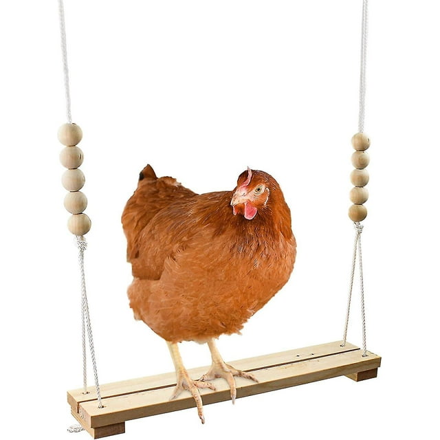 Chicken Swing Toy for Coop Natural Safe Wooden Accessories . Large Dur