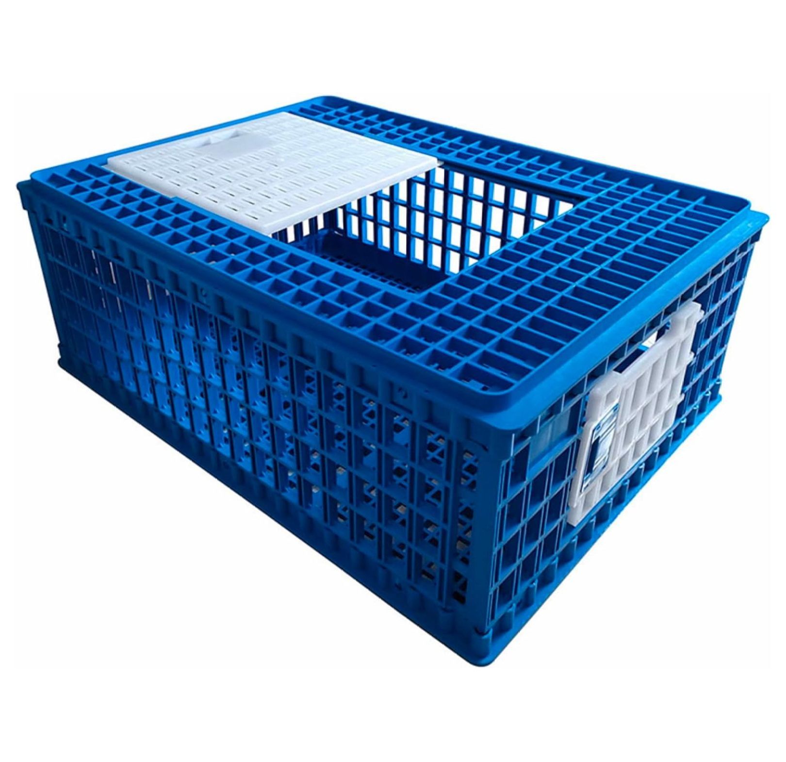 Chicken Transport 3 Door CAGE COOP Crate Chicken Quail Pigeons