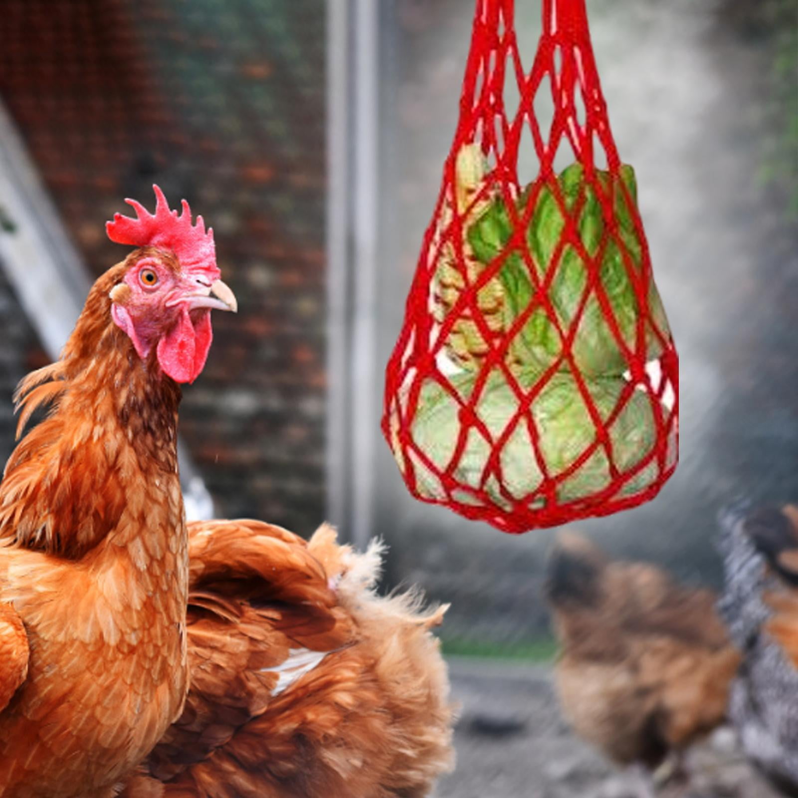Chicken Vegetable Hanging Feeder - Poultry Treat Toy With S Hook For Coop Entertainment