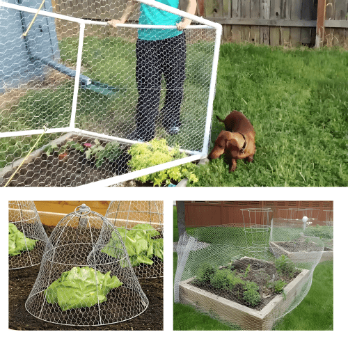 Chicken Wire Net Floral Wire Netting Hexagonal Mesh Galvanized Iron, Silver Tone