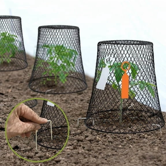 Chicken Wire Plant Covers for Garden Protection: Heavy-Duty Metal Cloche Netting to Keep Birds, Bunnies, Squirrels, and Other Animals Away (9.13×9.13in)
