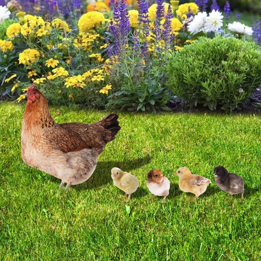 Amazon.com: Unique Metal Chicken Statues - The Very Best You Can Get from Chicken  Decor - 5 Pieces per Set - Perfect Garden and Yard Art Ornaments - Great  for Spring Holiday