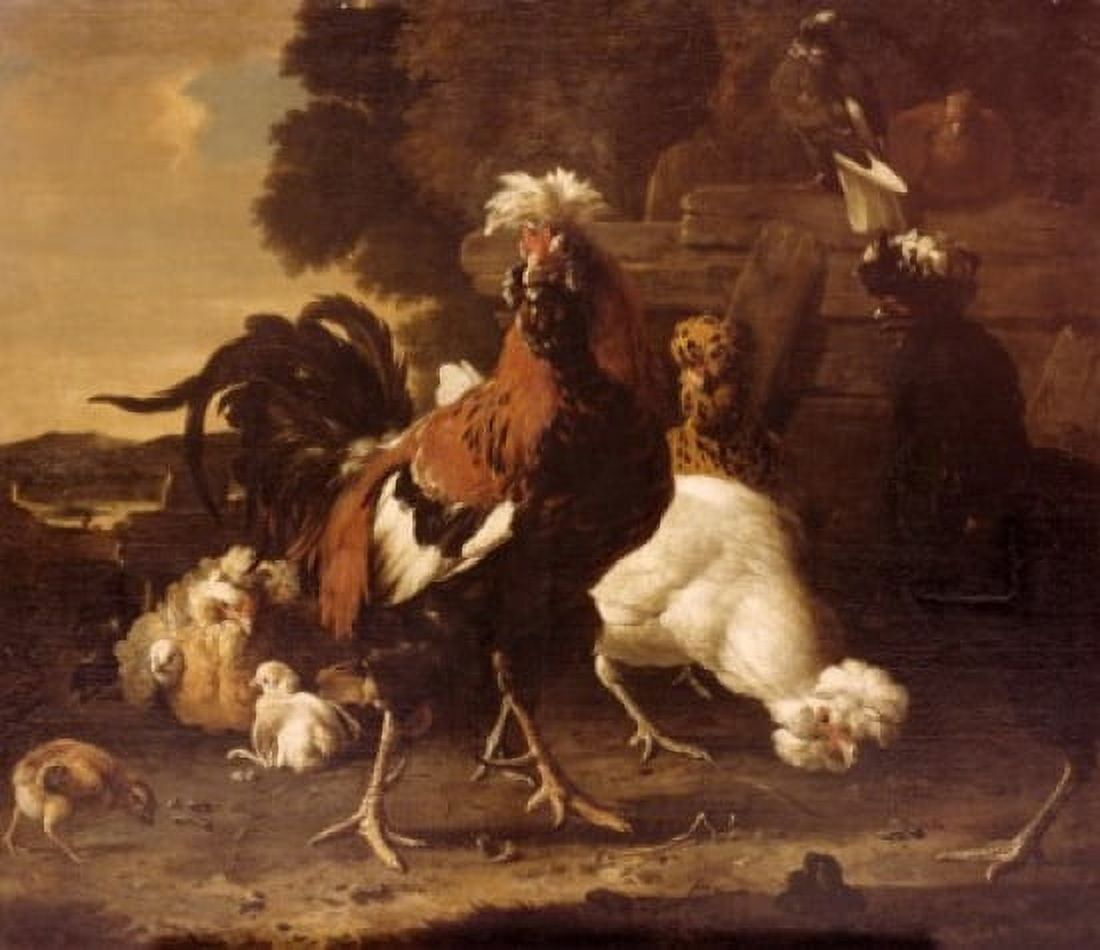 Chicken Yard by Melchior DMondecoeter (1636-1695) Canvas Art - Melchior DMondecoeter (18 x 24)