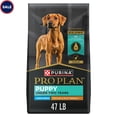 thumbnail image 1 of Purina Pro Plan Chicken and Rice Formula Large Breed Dry Puppy Food 47 lbs., 1 of 2