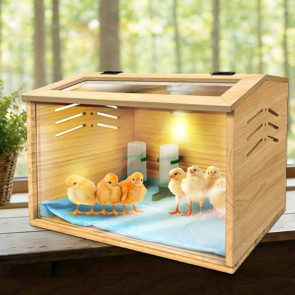 Chicken brooder Box,Chick brooder,brooder Box for Chicks,Small Chicken coop,Baby Chicken Supplies,Chick brooder Box,Quail cage,Quail coop,Measures Approximately 16 X 12 X 12 inches