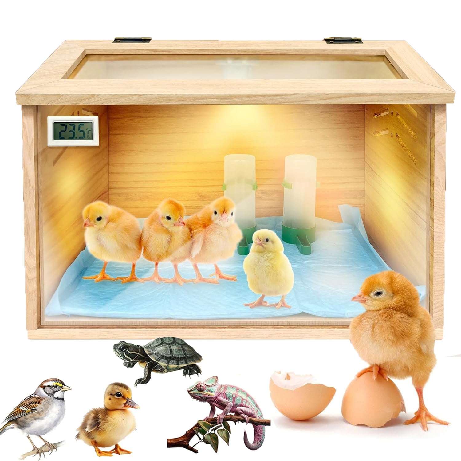 Chicken brooder Box,Chick brooder,brooder Box for Chicks,Small Chicken ...