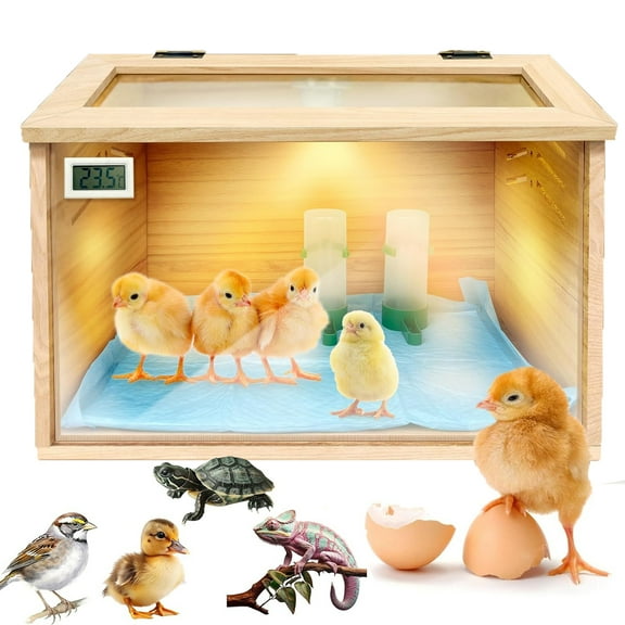 Chicken brooder Box,Chick brooder,brooder Box for Chicks,Small Chicken coop,Baby Chicken Supplies,Chick brooder Box,Quail cage,Quail coop,Measures Approximately 23.6 X 12 X 12 inches