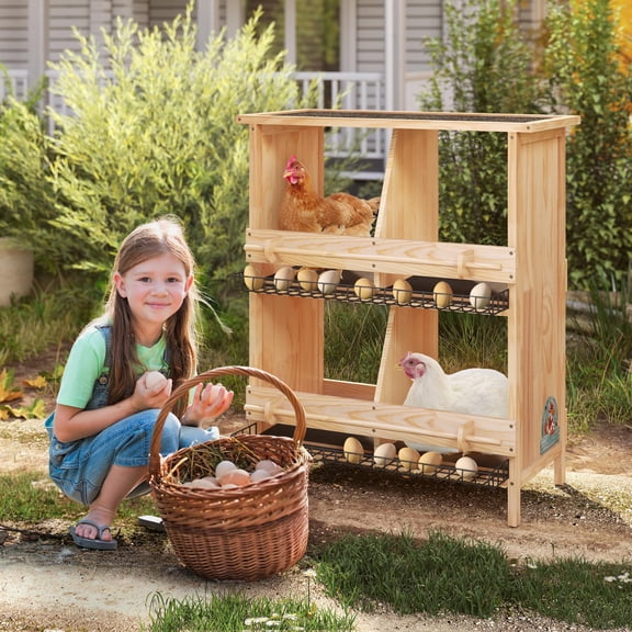 Chicken coop, wooden chicken coop, asphalt roof, 4 compartment egg laying box, suitable for chicken coop, ducks, poultry, birds, pigeons