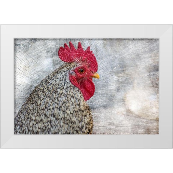 Chickens 14x11 White Modern Wood Framed Museum Art Print Titled - Posing Rooster