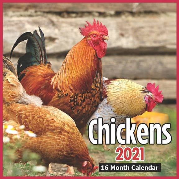Chickens Calendar 2021 : 16 Month Calendar 2021-2022 Calendar 2021 Monthly Square Size 8.5 x 8.5 Inch, Glossy Finish Animal Calendar 2021 For Women, Men, Girls, And Boys Perfect Calendar for Organizing & Planning (Paperback)