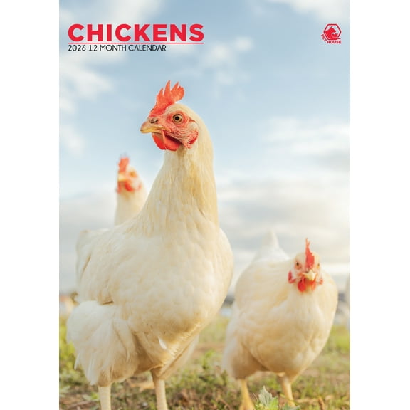 Chickens Calendar 2026