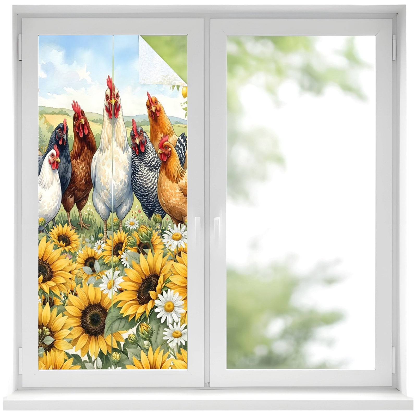Chickens Rooster Window Privacy Film, Yellow Sunflowers Barn Farmhouse ...